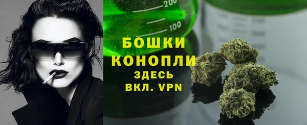 спайс Баксан