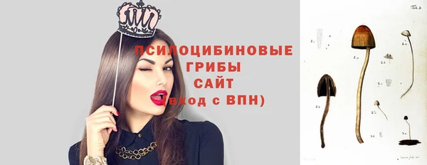 спайс Баксан