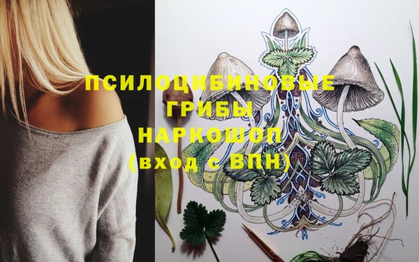 спайс Баксан